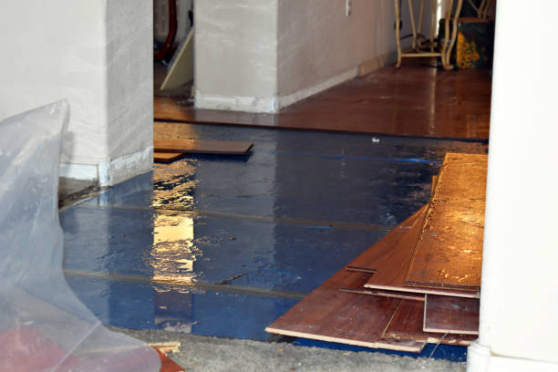 Professional Water Damage Restoration technician working in Columbia, IL